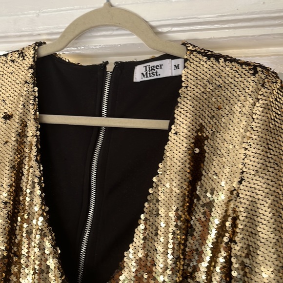Tiger mist hood sequined dress.  Size medium.  Like new.  Only worn once. - Picture 2 of 3